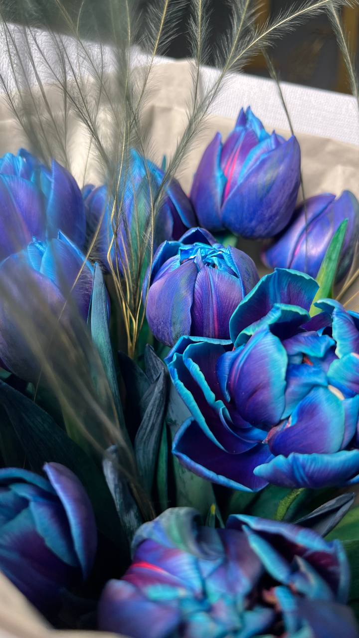 Букет з синіх голландських тюльпанів та стіфи